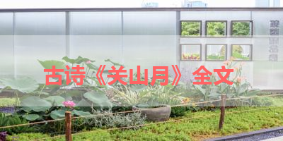 古诗《关山月》全文 