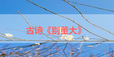 古诗《别董大》 