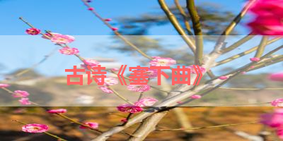 古诗《塞下曲》 