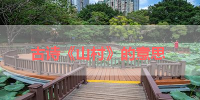 古诗《山村》的意思 