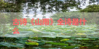 古诗《山雨》全诗是什么 