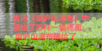 古诗《望庐山瀑布》中描绘了怎样一幅画面- 望庐山瀑布描绘了