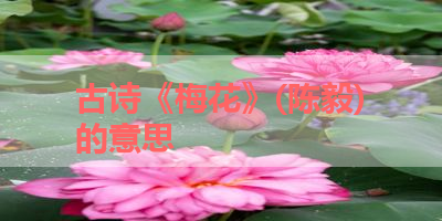 古诗《梅花》(陈毅)的意思 