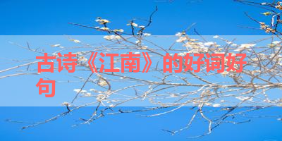 古诗《江南》的好词好句 
