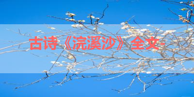 古诗《浣溪沙》全文- 