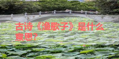 古诗《渔歌子》是什么意思？ 