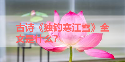 古诗《独钓寒江雪》全文是什么？ 