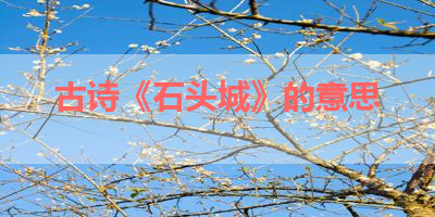 古诗《石头城》的意思 