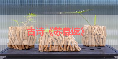 古诗《苏幕遮》 
