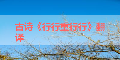 古诗《行行重行行》翻译 