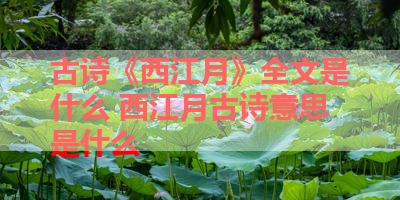古诗《西江月》全文是什么 西江月古诗意思是什么