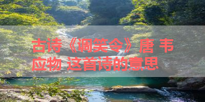 古诗《调笑令》唐 韦应物 这首诗的意思 