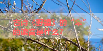 古诗《野望》的“皋”的读音是什么？ 