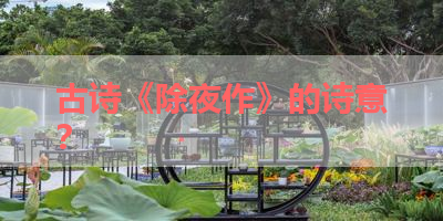 古诗《除夜作》的诗意？ 
