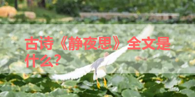 古诗《静夜思》全文是什么？ 