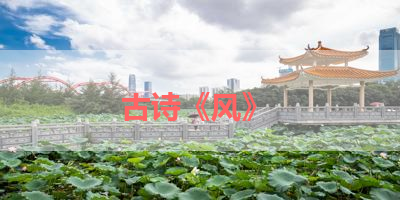 古诗《风》 