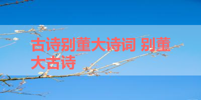 古诗别董大诗词 别董大古诗 