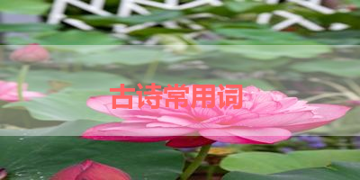 古诗常用词 