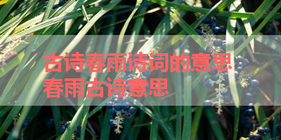 古诗春雨诗词的意思 春雨古诗意思 
