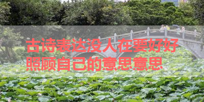 古诗表达没人在要好好照顾自己的意思意思 