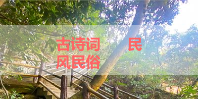 古诗词      民风民俗 