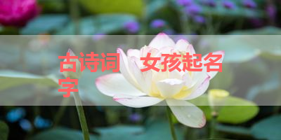 古诗词   女孩起名字 