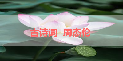 古诗词  周杰伦 