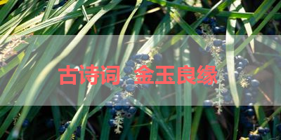古诗词  金玉良缘 
