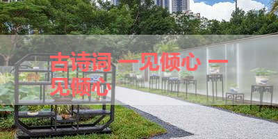 古诗词 一见倾心 一见倾心