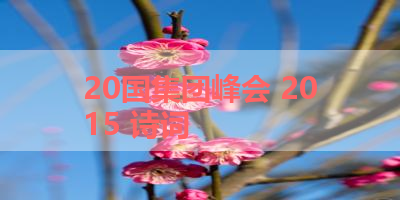 20国集团峰会 2015 诗词 