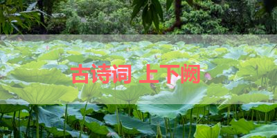 古诗词 上下阙 