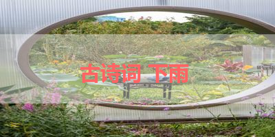 古诗词 下雨 