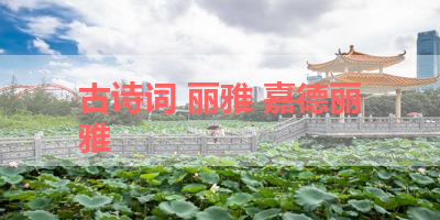 古诗词 丽雅 嘉德丽雅