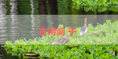 古诗词 于 