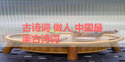 古诗词 做人 中国最美古诗词