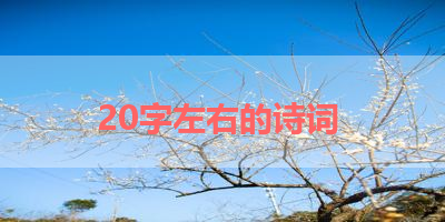 20字左右的诗词 