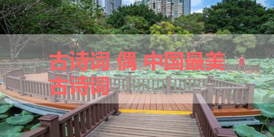 古诗词 偶 中国最美古诗词