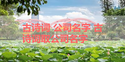 古诗词 公司名字 古诗词取公司名字