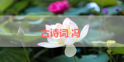 古诗词 冯 