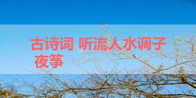 古诗词 听流人水调子 夜筝 