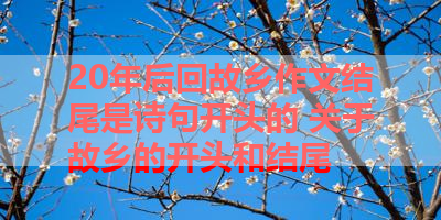 20年后回故乡作文结尾是诗句开头的 关于故乡的开头和结尾