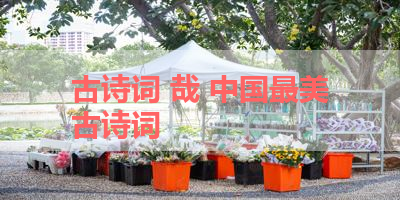 古诗词 哉 中国最美古诗词