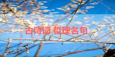 古诗词 哲理名句 