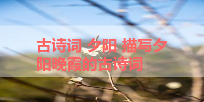 古诗词 夕阳 描写夕阳晚霞的古诗词