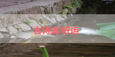 古诗词 好运 