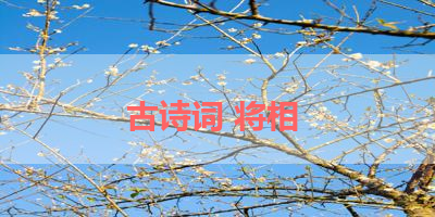 古诗词 将相 