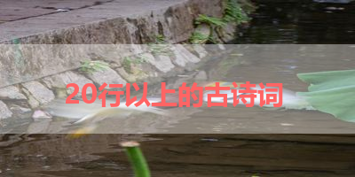 20行以上的古诗词 