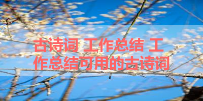 古诗词 工作总结 工作总结可用的古诗词