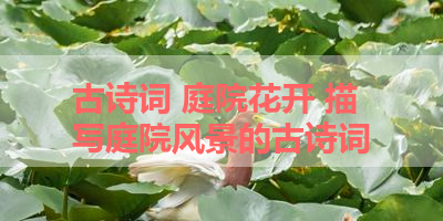 古诗词 庭院花开 描写庭院风景的古诗词