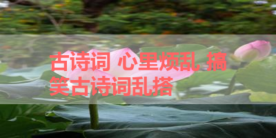 古诗词 心里烦乱 搞笑古诗词乱搭